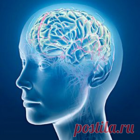 Мозг человека может восстановиться самостоятельно