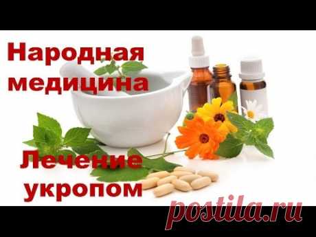Лечение укропом