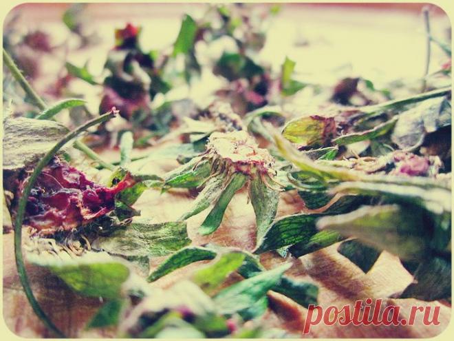 Не выбрасывайте клубничные хвостики:)