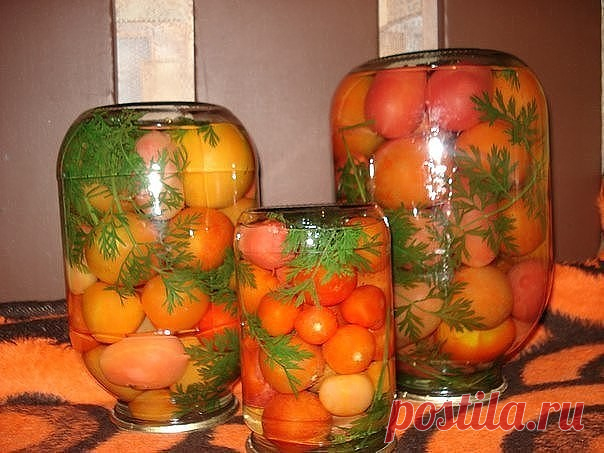 Помидоры с морковной ботвой