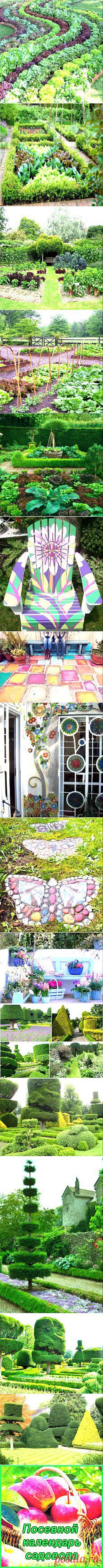 Сад и огород | Постила.ru