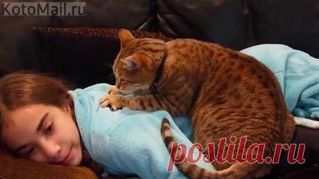 Котайский массаж)