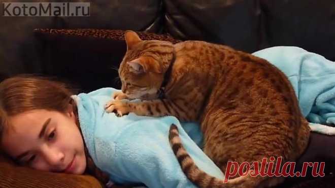 Котайский массаж)
