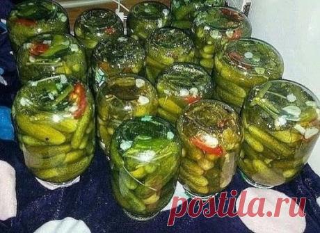 КОНСЕРВИРОВАНИЕ ОГУРЦОВ В ХОЛОДНОЙ ВОДЕ
Ингредиенты:
огурцы свежие – 2 килограмма
укроп соцветия – 3 штуки
листья хрена – 1 большой лист
чеснок – 4 зубчика
черный перец – 3 горошины
листья черной смородины – 5 штук
перец красный стручковый – по желанию
горчица порошок – ½ чайная ложка
вода – 1 литр
соль – 100 грамм
пищевая сода – для мытья банок
Посуда
дуршлаг
кастрюля
стеклянные банки
металлические крышки
машинка для закатки банок
нож
чайная ложка
Подготовка
Банки достаточно помыть с пище