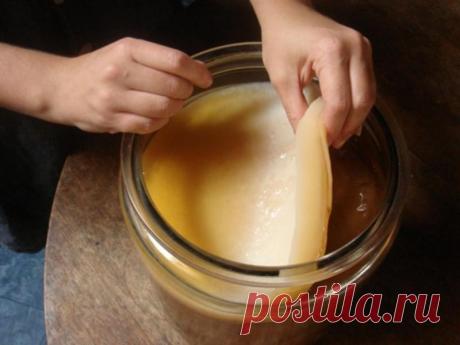 ЧАЙНЫЙ ГРИБ - КАК ВЫРАСТИТЬ С НУЛЯ И ДАЛЬНЕЙШИЙ УХОД Не обязательно его покупать или искать у знакомых. Гриб можно вырастить самим с нуля.  Нужно: термос и плоды шиповника ( можно сушеные купить, продается в любой аптеке, стоит недорого ).  Термос - любой, можно и без стеклянной колбы, из пищевого металла, современный.  Термос тщательно