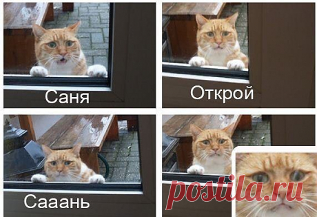 Геннадий Рожин | ВКонтакте