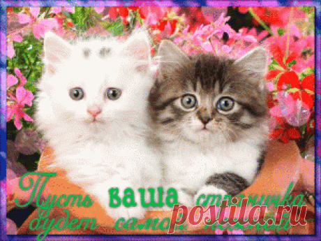 Бесплатные открытки