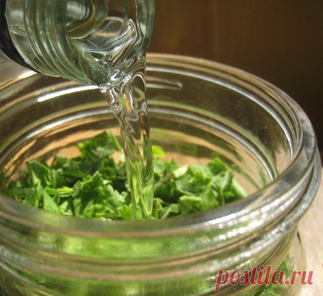 Настойка листьев хрена лечит гепатит и цирроз печени Из листьев хрена можно приготовить настойку, эффективную при болезнях печени, в том числе вирусном гепатите и циррозе