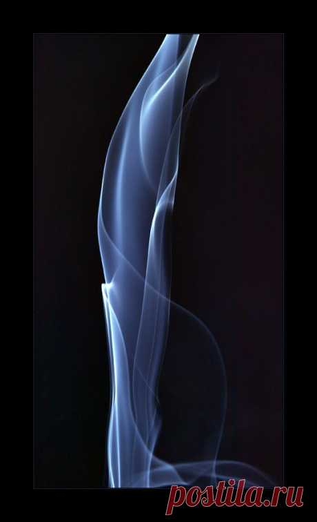 Фотография нет дыма без огня... из раздела макро №1046360 - фото.сайт - Photosight.ru