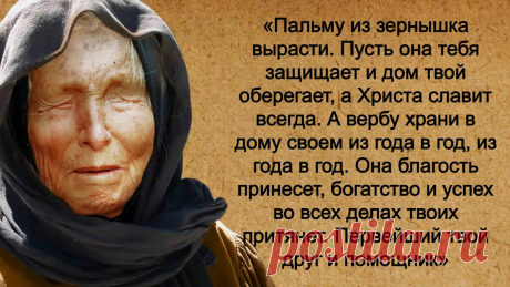 5 вещей, которые Ванга советовала иметь в доме, чтобы наполнить его благополучием, а свою жизнь - удачей | Большая Книга Перемен | Дзен