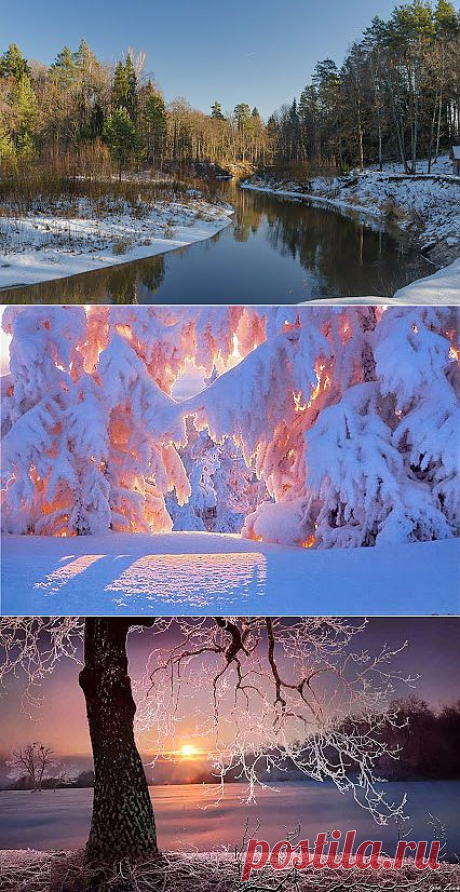 Лучшие фото – Пейзажи/Флора – Community – Google+