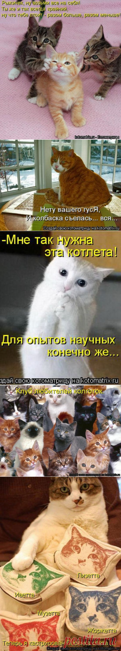 Ура!!! Котоматрицы шикарные для услады глаз!