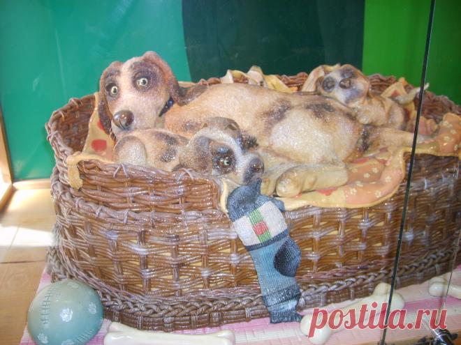 Собачка со щенками в корзинке