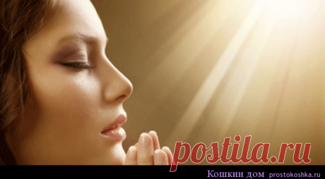 Молитвы обереги | Кошкин дом