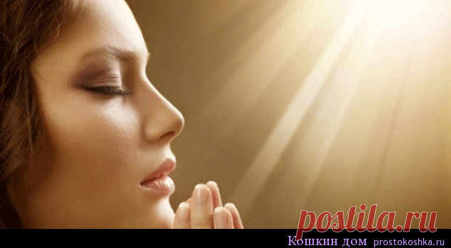 Молитвы обереги | Кошкин дом