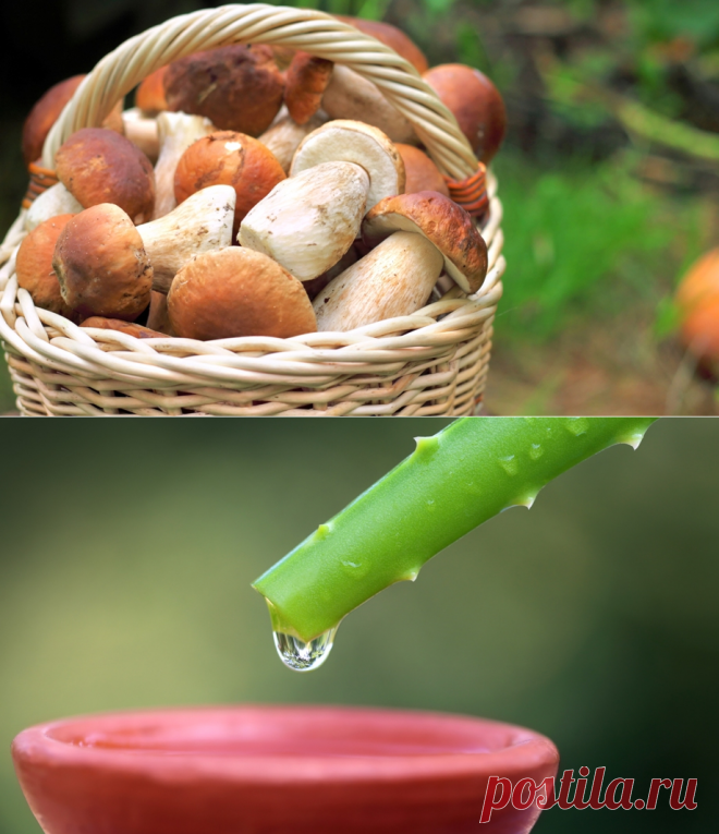 10 народных средств для лечения миомы