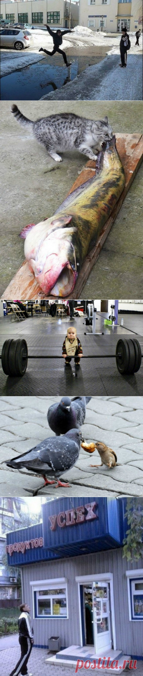 Снимки, доказывающих, что в любом деле главное – это вера в собственные силы