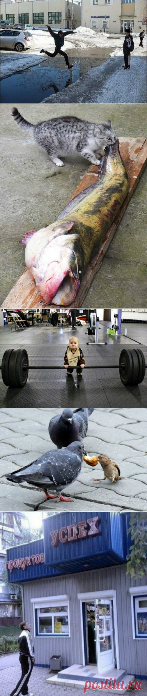 Снимки, доказывающих, что в любом деле главное – это вера в собственные силы