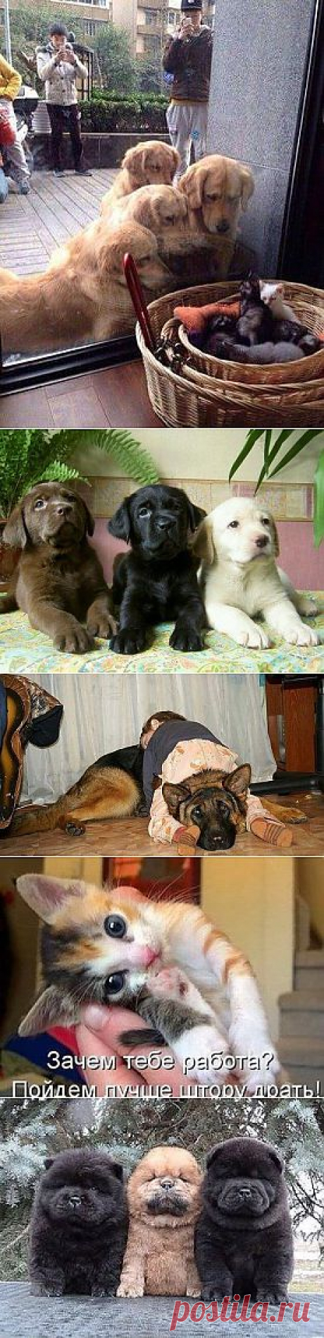 (1) Одноклассники