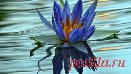 Красивая музыка для души видео