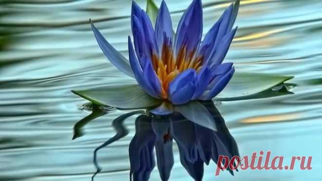 Красивая музыка для души видео