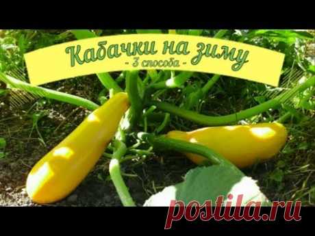 КАБАЧКИ!! ДЕЛАЕМ ЗАГОТОВКИ НА ЗИМУ И ЕДИМ КРУГЛЫЙ ГОД. НЕСКОЛЬКО СПОСОБОВ ЗАМОРОЗКИ КАБАЧКОВ НА ЗИМУ