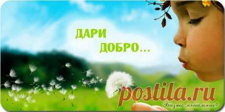 НЕПРИДУМАННЫЕ ИСТОРИИ С КРУПИЦАМИ ОГРОМНОЙ ДОБРОТЫ / Сферический бизнес
