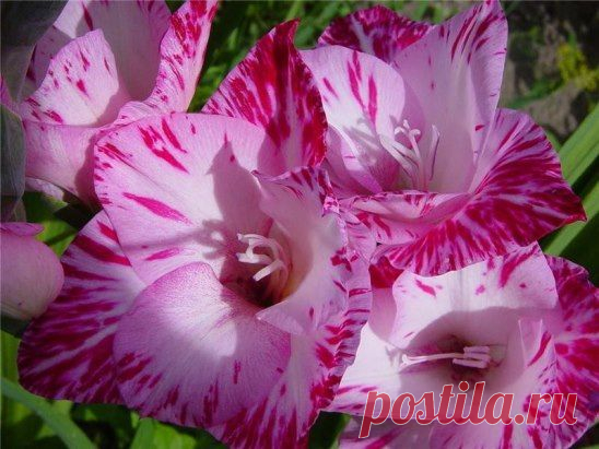 Очень красиво))