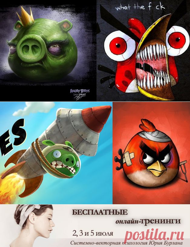 Системно-векторная психология. «Angry birds» – игра-убийца