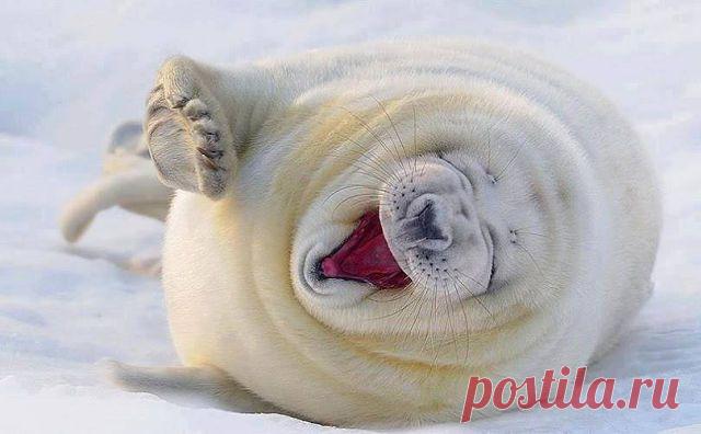 Ferenc Kramarenko
54 года, Венгрия, Pápa