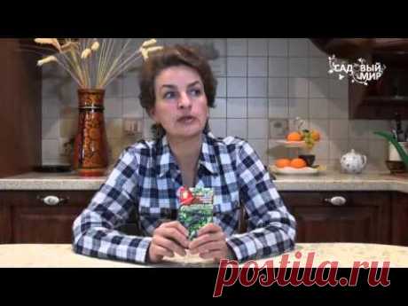 Как вырастить чернику, бруснику, клюкву, голубику