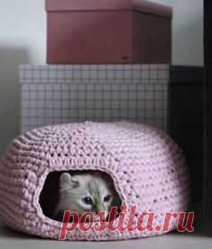 (60) Facebook