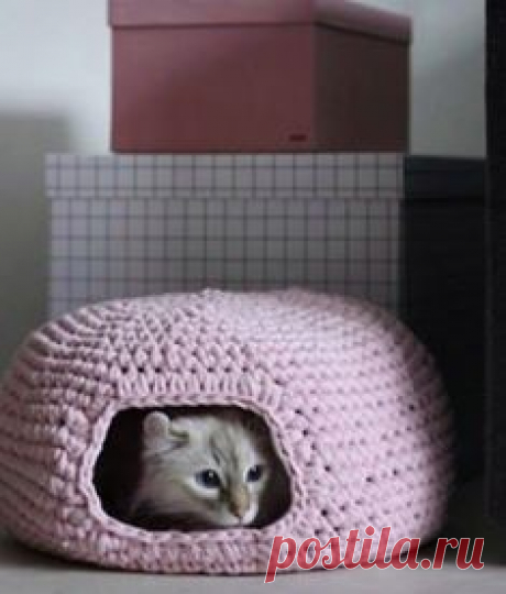 (60) Facebook