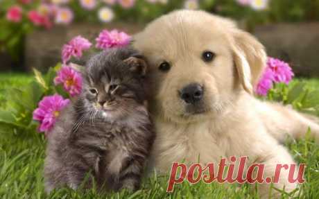 Поздравляем с Днём рождения всех, кто родился сегодня 14 июня 😘😘