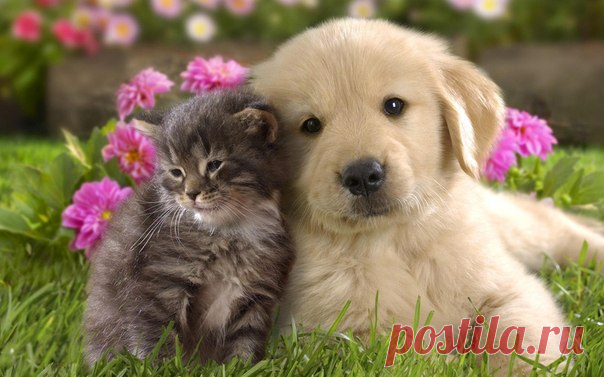 Поздравляем с Днём рождения всех, кто родился сегодня 14 июня 😘😘