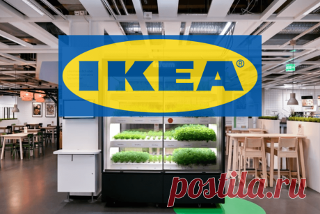 🔥IKEA тестирует вертикальные фермы в партнерстве с Inform
✅Согласно информации Infarm, они совместно с IKEA начали тестирование вертикальной установки для выращивания растений в трех местах в Германии, они появятся в магазинах на этой неделе...
👉 Читать далее по ссылке: https://lindeal.com/news/ikea-testiruet-vertikalnye-fermy-v-partnerstve-s-inform
🔎Подписывайтесь на нашу страницу в facebook, чтобы быть в курсе интересных новостей и статей
#IKEA #business #lindeal