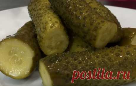 Рецепты малосольных огурцов вкусных, хрустящих, быстрого приготовления - Женская страница