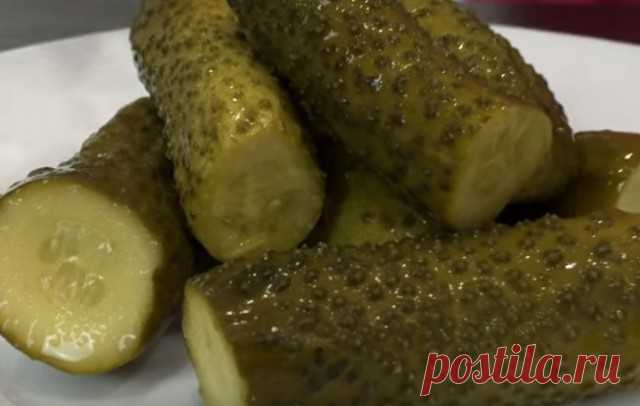 Рецепты малосольных огурцов вкусных, хрустящих, быстрого приготовления - Женская страница