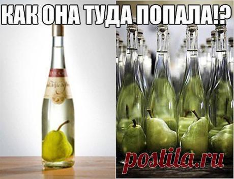(72) Одноклассники
