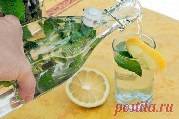 Как вывести из организма все ненужное и ядовитое?