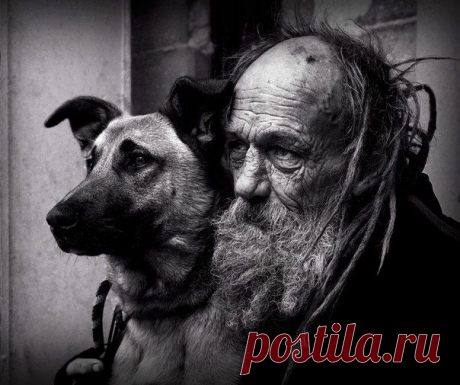 - Ты прости меня, Джек. Я сегодня не выйду из дома.... | Все о наших питомцах