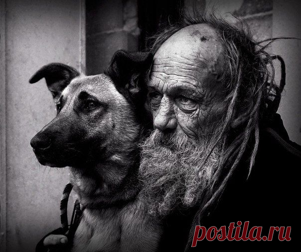 - Ты прости меня, Джек. Я сегодня не выйду из дома.... | Все о наших питомцах