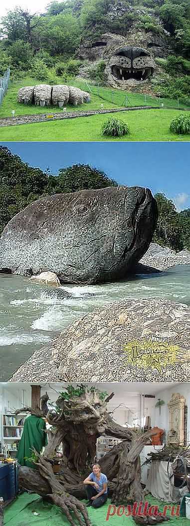 ..Курьезы природы...