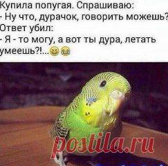 (8) Одноклассники