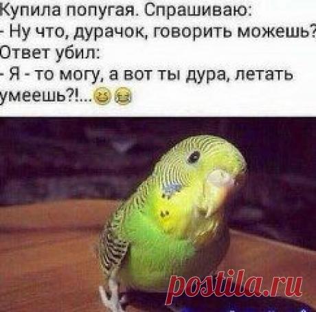 (8) Одноклассники