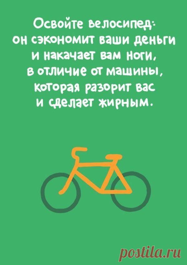 Экосоветы в картинках, или как сделать первые шаги к жизни в стиле эко