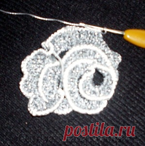 Розы на бурдоне.