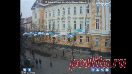 beregovo.today : За центром Берегова можна спостерігати на трьох онлайн-камерах (ФОТО)