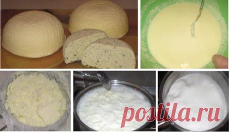 Очень вкусный сыр — сулугуни, готовится легко и быстро!!