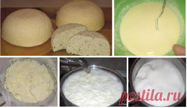 Очень вкусный сыр — сулугуни, готовится легко и быстро!!